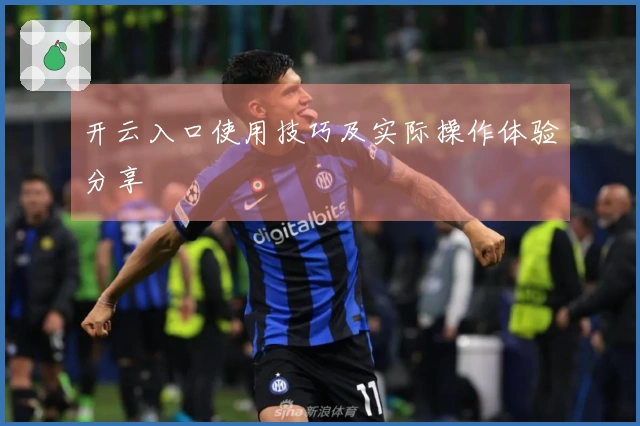 开云入口使用技巧及实际操作体验分享